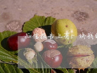 征信报告上有5块钱的逾期 征信报告上有5块钱的逾期