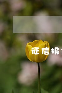 征信报告上有7笔贷款逾期 征信报告上有7笔贷款逾期