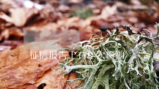 征信报告上有8次逾期 征信报告上有8次逾期
