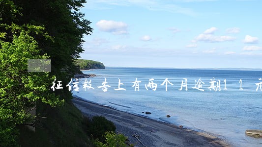 征信报告上有两个月逾期11元 征信报告上有两个月逾期11元