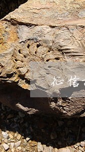征信报告上有显示逾期4 征信报告上有显示逾期4