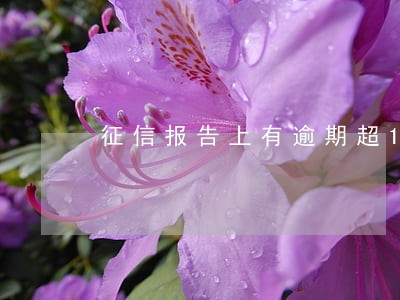 征信报告上有逾期超180天 征信报告上有逾期超180天