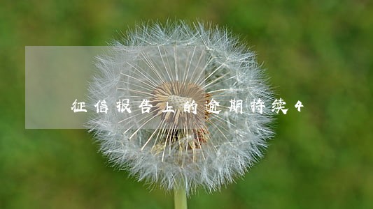 征信报告上的逾期持续4 征信报告上的逾期持续4