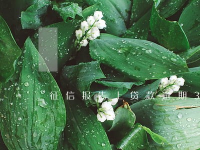 征信报告上贷款逾期31天 征信报告上贷款逾期31天