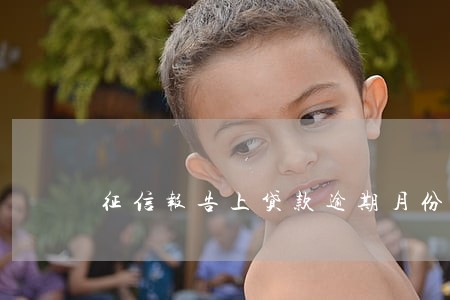 征信报告上贷款逾期月份数 征信报告上贷款逾期月份数
