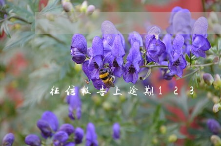 征信报告上逾期123 征信报告上逾期123
