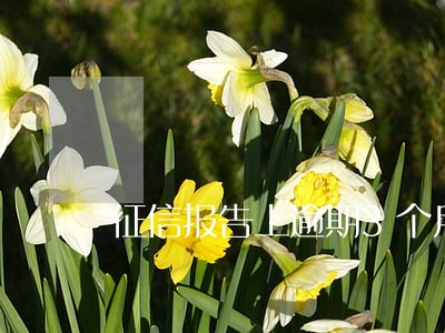 征信报告上逾期3个月 征信报告上逾期3个月