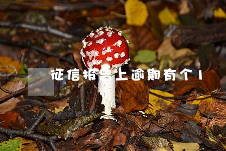 征信报告上逾期有个1 征信报告上逾期有个1