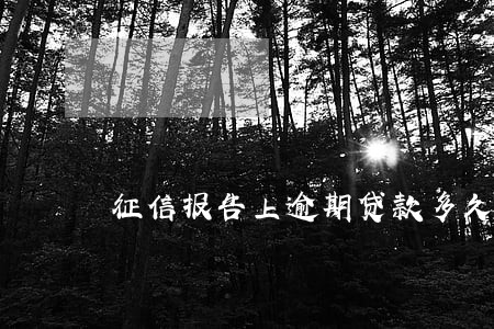 征信报告上逾期贷款多久