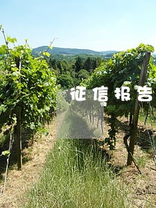 征信报告上逾期那里显示7 征信报告上逾期那里显示7