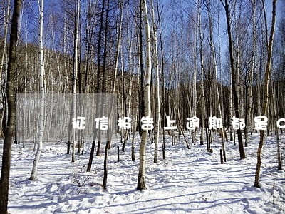 征信报告上逾期都是0 征信报告上逾期都是0