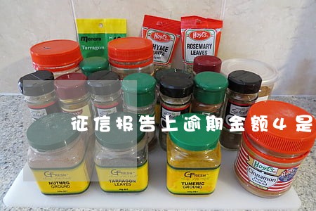 征信报告上逾期金额4是什么意思 征信报告上逾期金额4是什么意思