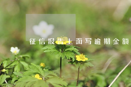 征信报告上面写逾期金额为2 征信报告上面写逾期金额为2