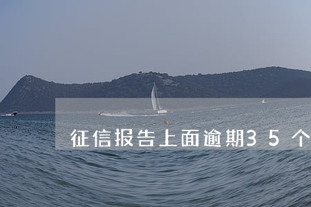 征信报告上面逾期35个月 征信报告上面逾期35个月