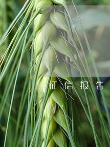 征信报告中信用卡有一次逾期 征信报告中信用卡有一次逾期
