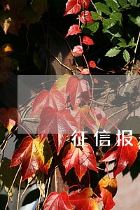 征信报告中有20次逾期 征信报告中有20次逾期