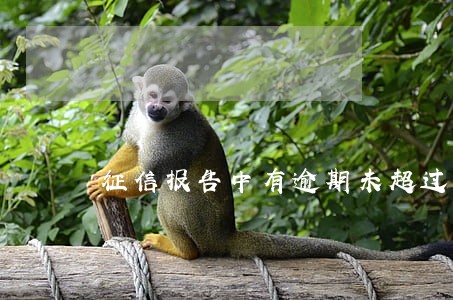 征信报告中有逾期未超过90天 征信报告中有逾期未超过90天