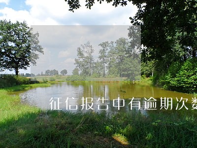 征信报告中有逾期次数6 征信报告中有逾期次数6