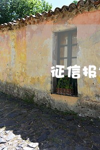 征信报告中逾期2次可以担保吗 征信报告中逾期2次可以担保吗
