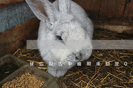 征信报告中逾期余额是0 征信报告中逾期余额是0