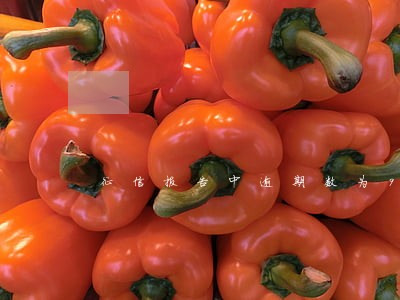 征信报告中逾期数为9 征信报告中逾期数为9