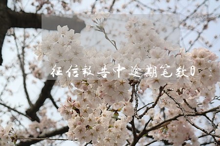 征信报告中逾期笔数0 征信报告中逾期笔数0