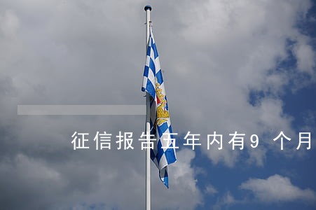 征信报告五年内有9个月逾期 征信报告五年内有9个月逾期