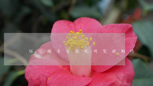 征信报告会出现网贷逾期吗 征信报告会出现网贷逾期吗