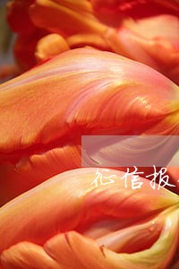 征信报告信用卡有逾期 征信报告信用卡有逾期