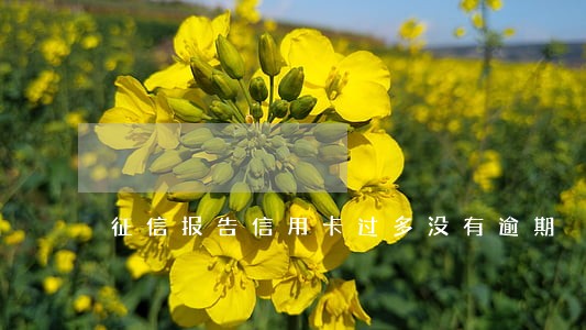 征信报告信用卡过多没有逾期 征信报告信用卡过多没有逾期