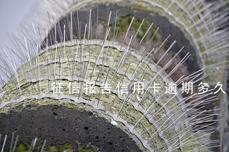 征信报告信用卡逾期多久消失 征信报告信用卡逾期多久消失