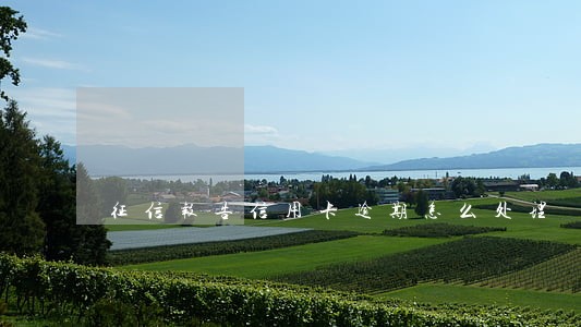 征信报告信用卡逾期怎么处理