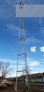 征信报告信用卡逾期政审