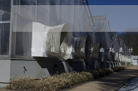 征信报告信用卡逾期是什么标志 征信报告信用卡逾期是什么标志