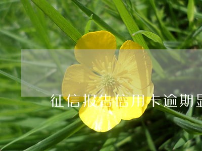 征信报告信用卡逾期显示呆账 征信报告信用卡逾期显示呆账