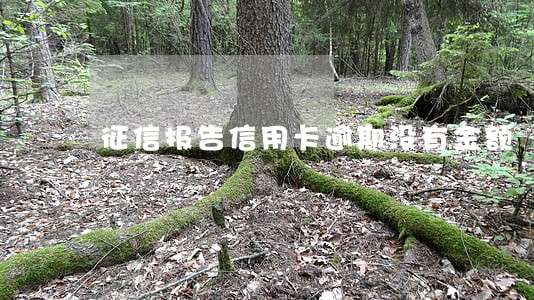 征信报告信用卡逾期没有金额