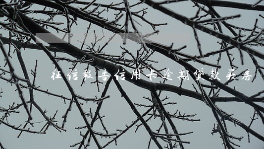征信报告信用卡逾期贷款买房 征信报告信用卡逾期贷款买房