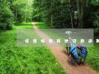 征信报告其他贷款逾期5