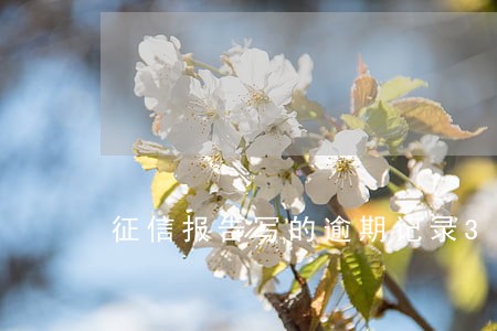 征信报告写的逾期记录3 征信报告写的逾期记录3