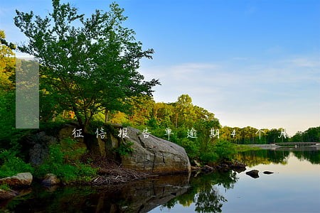 征信报告单逾期4个月 征信报告单逾期4个月