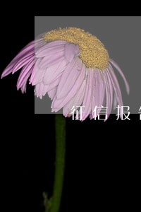 征信报告发生过逾期2个 征信报告发生过逾期2个