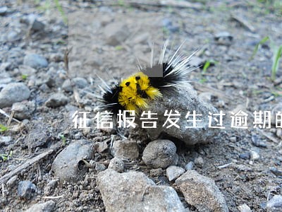 征信报告发生过逾期的账户3次 征信报告发生过逾期的账户3次