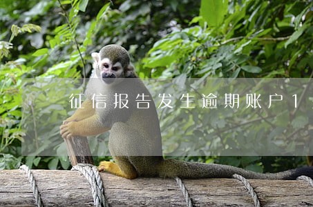 征信报告发生逾期账户1是什么