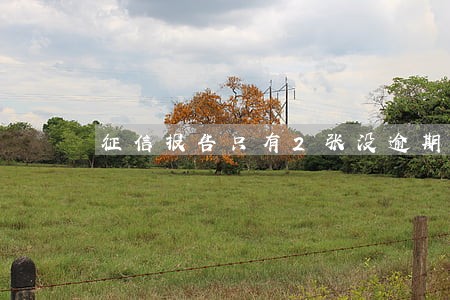 征信报告只有2张没逾期 征信报告只有2张没逾期