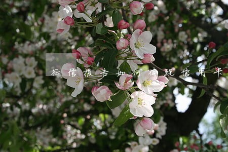 征信报告如何体现信用卡逾期 征信报告如何体现信用卡逾期