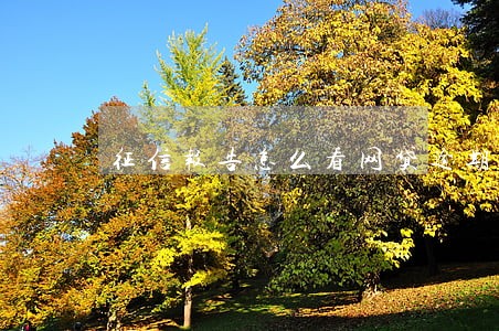征信报告怎么看网贷逾期 征信报告怎么看网贷逾期