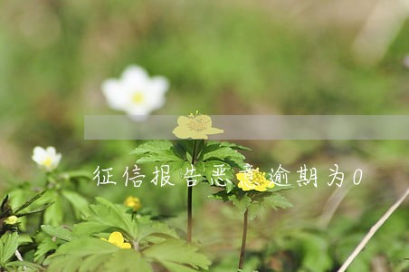 征信报告恶意逾期为0 征信报告恶意逾期为0