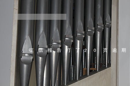 征信报告打了20页逾期 征信报告打了20页逾期