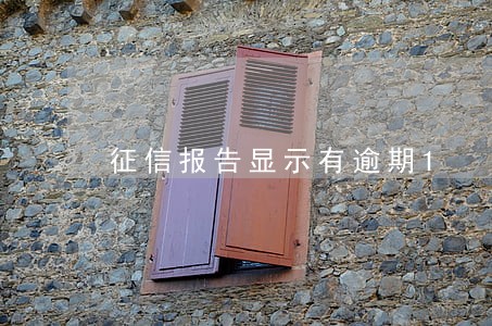 征信报告显示有逾期1 征信报告显示有逾期1