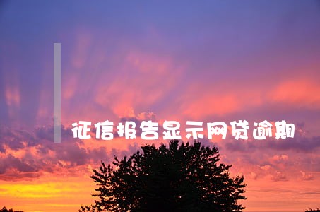 征信报告显示网贷逾期 征信报告显示网贷逾期